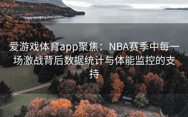 爱游戏体育app聚焦：NBA赛季中每一场激战背后数据统计与体能监控的支持