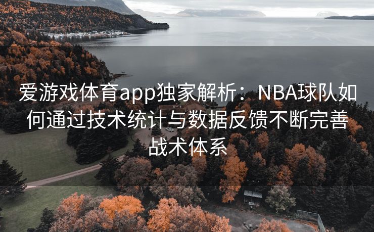 爱游戏体育app独家解析：NBA球队如何通过技术统计与数据反馈不断完善战术体系